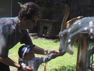 Click here for BIGGER picture...