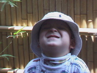 Click here for BIGGER picture...