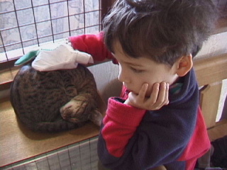 Click here for a BIGGER picture