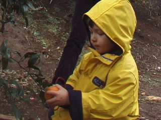 Click here for a BIGGER picture